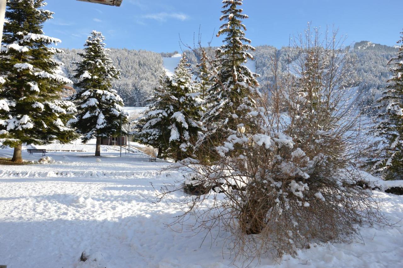 Villard De Lans Exterior foto